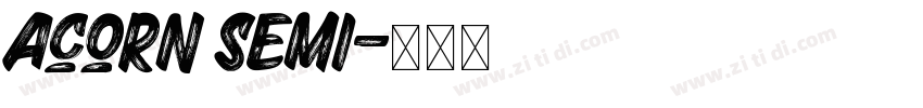 Acorn Semi字体转换